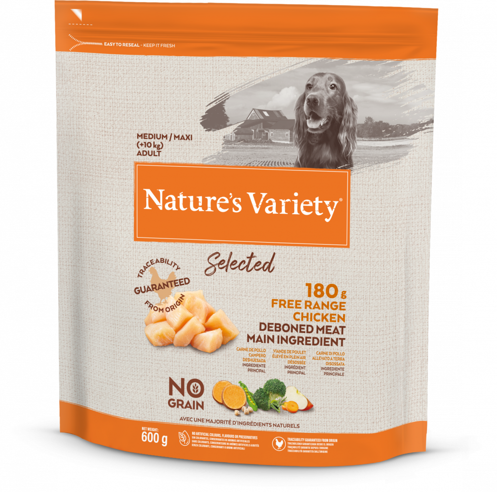 what is the main ingredient in dry dog food